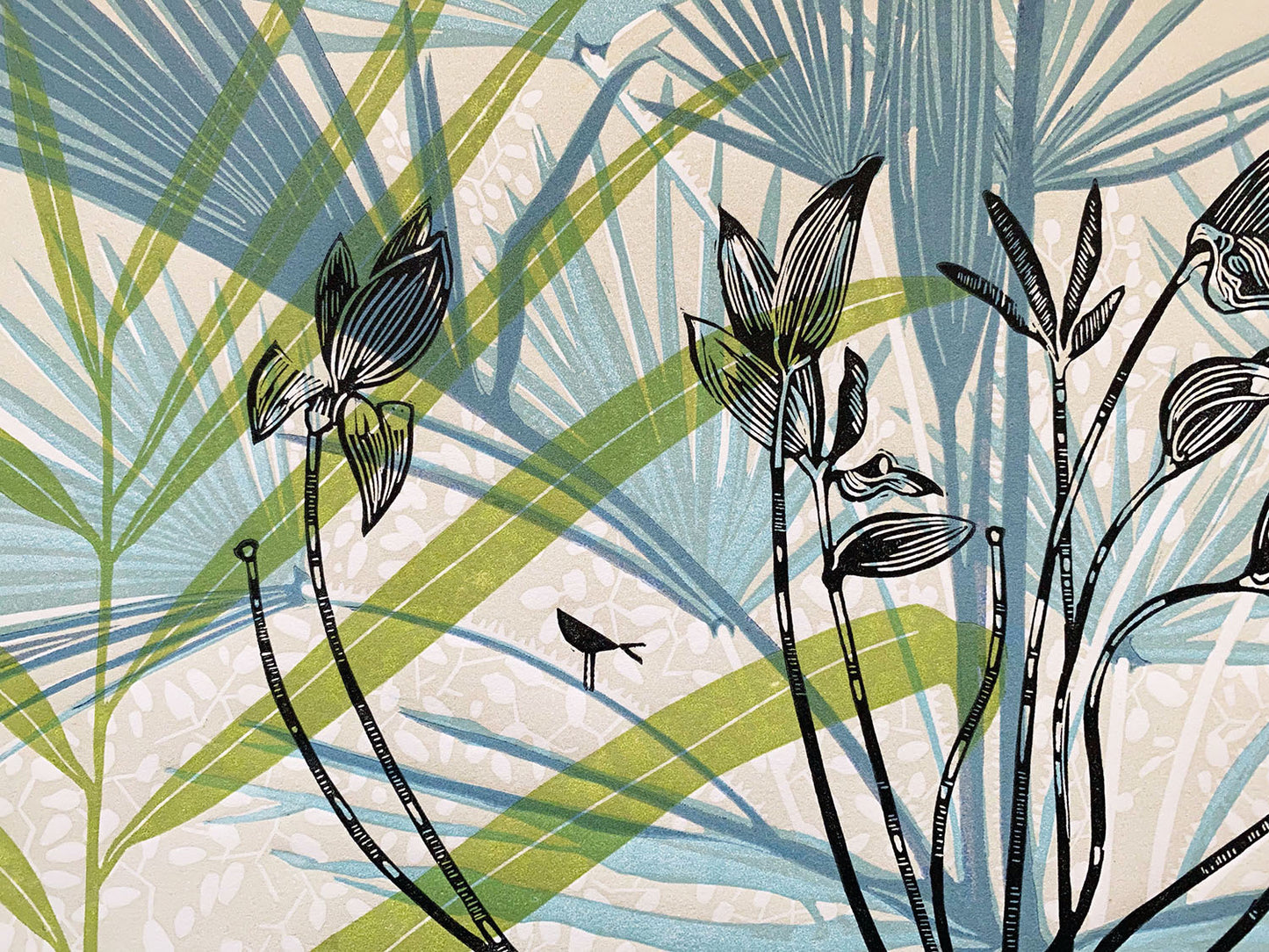 Hothouse 1 - there's a bird in there