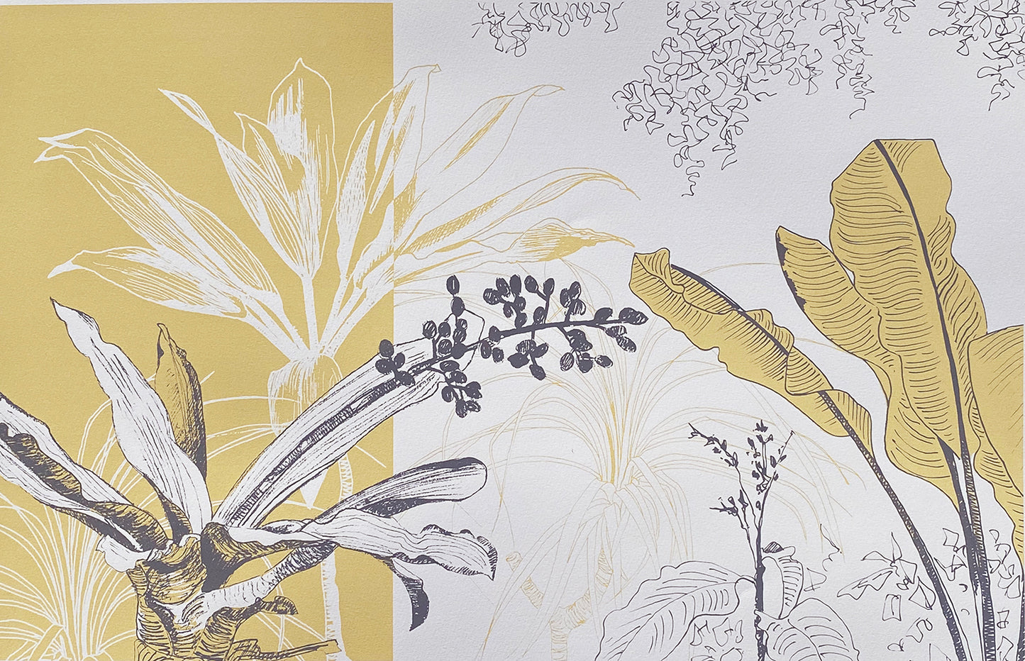 Liverpool's Botanic Garden collection 4