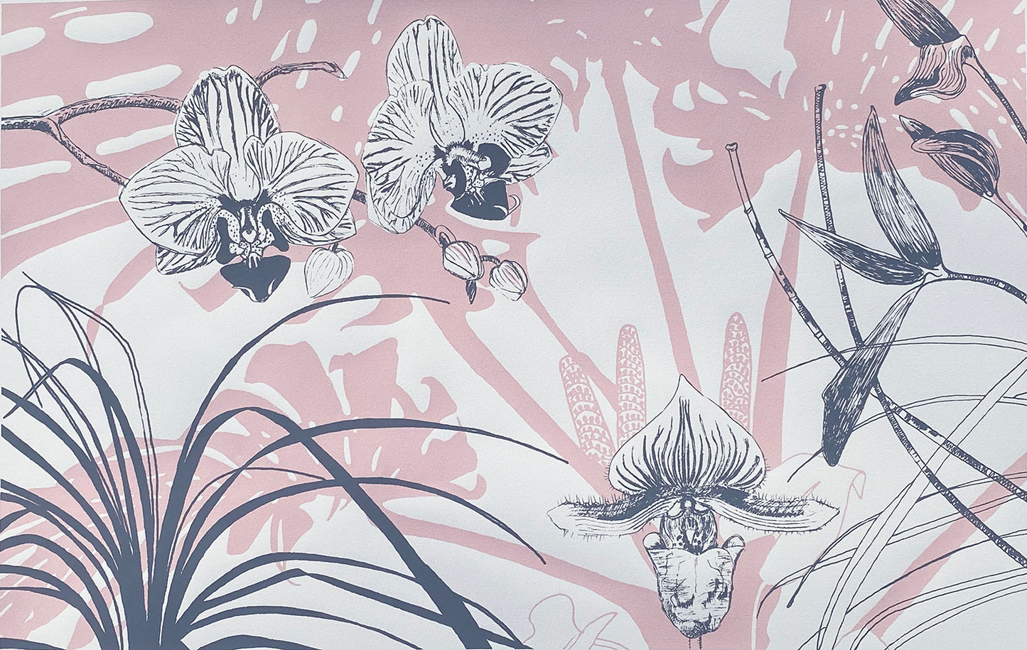 Liverpool's Botanic Garden collection 1