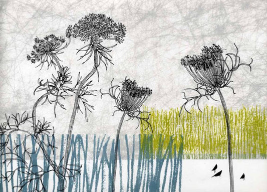 Ammis visnaga and garden birds