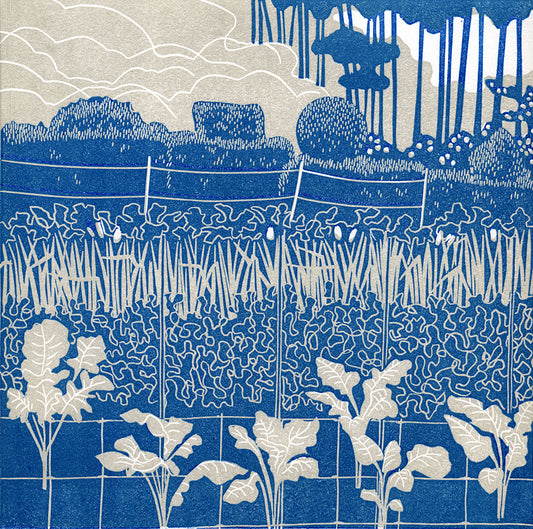 Kitchen Garden