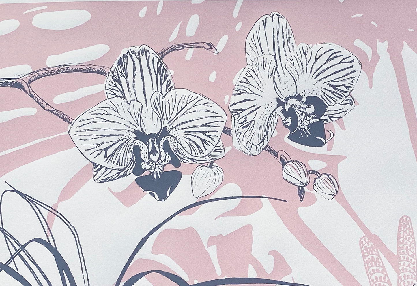 Liverpool's Botanic Garden collection 1