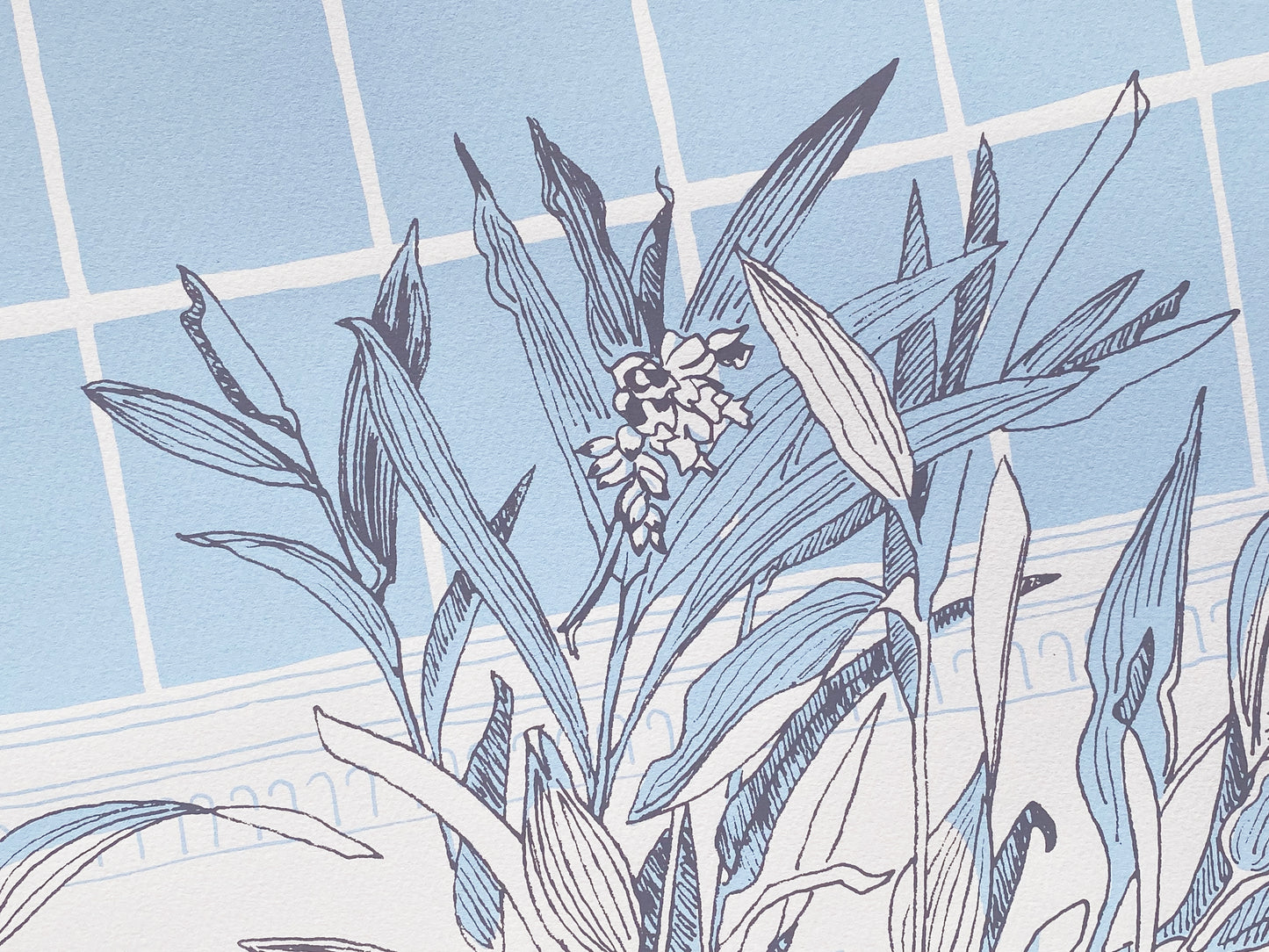 Liverpool's Botanic Garden collection 2