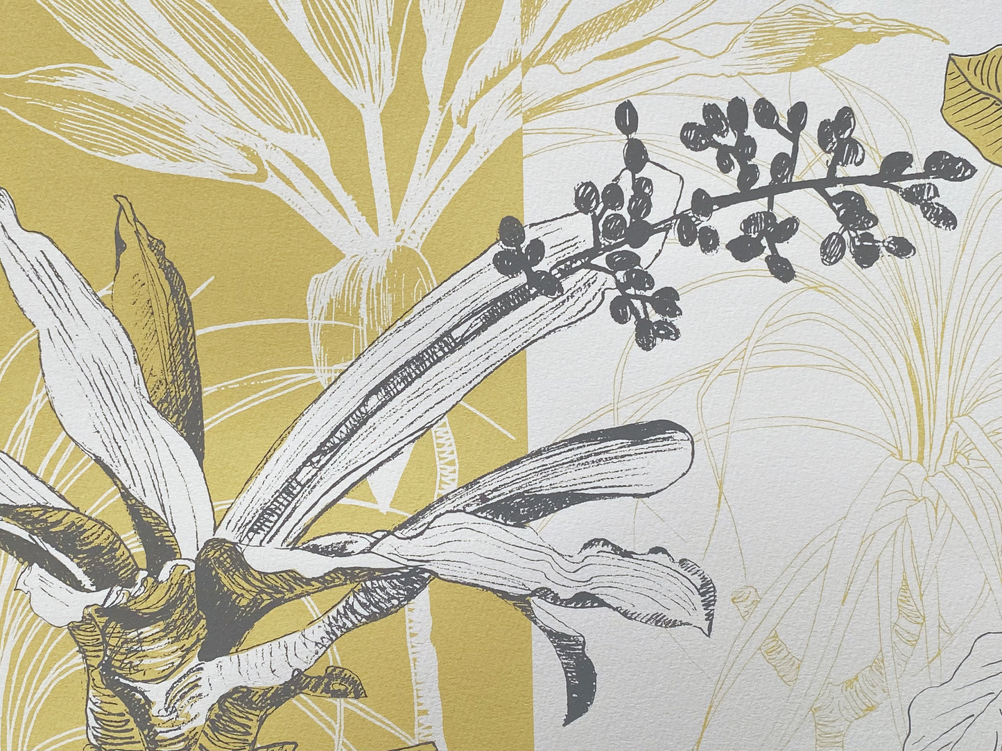 Liverpool's Botanic Garden collection 4