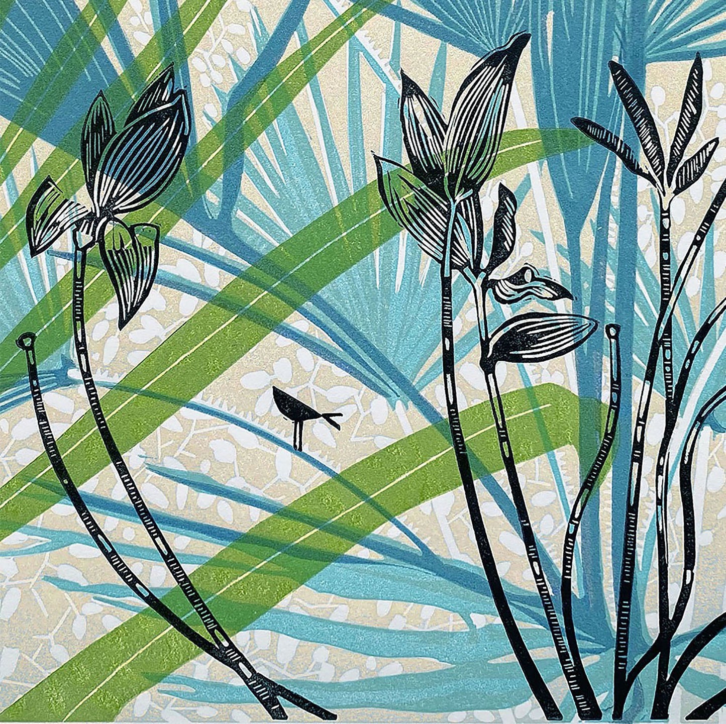 Hothouse 1
